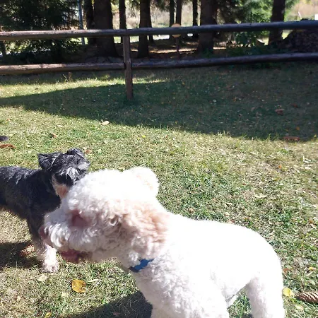 公寓 Kucerak Na Kopu