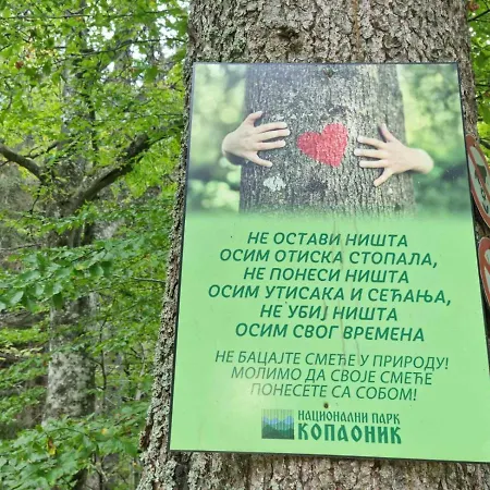 Kucerak Na Kopu Daire Kopaonik