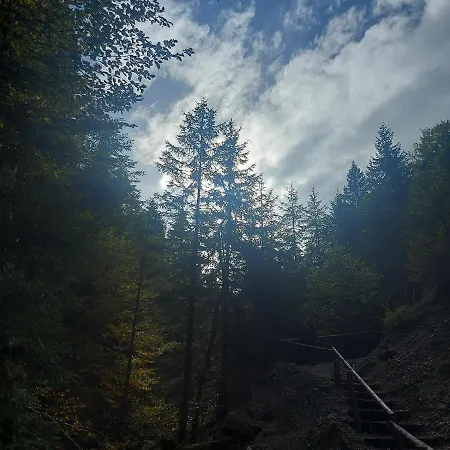 Kucerak Na Kopu 아파트 카파오닉