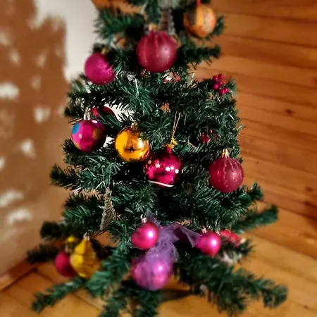 Kucerak Na Kopu 科帕奥尼克